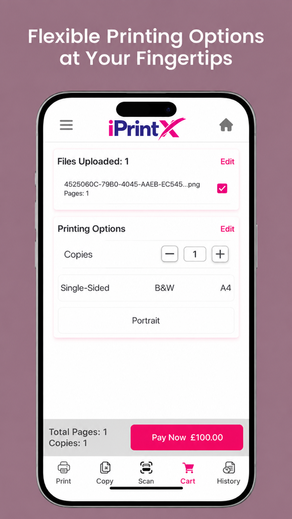 iPrintX flexible printing options screen